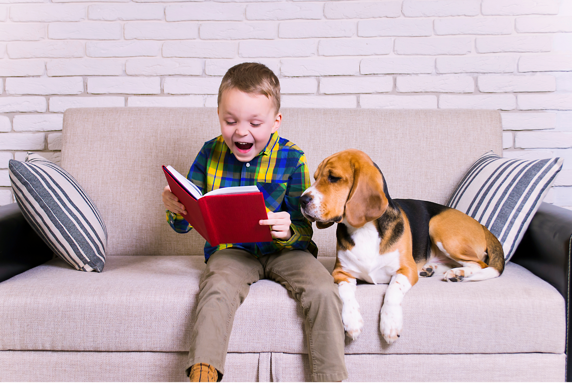 Little boy reading a book to a dog and both of them are interested in the ending.